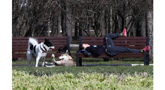 Роспотребнадзор рекомендует на майских праздниках отказаться от прогулок и пикников