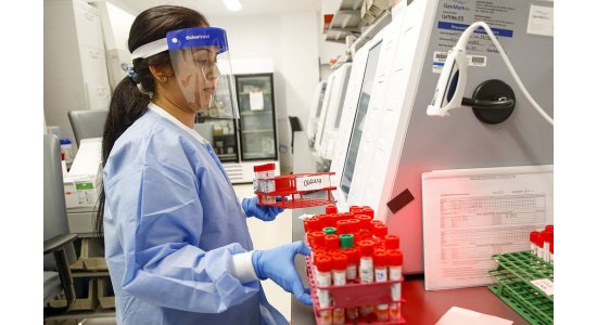 Ученые призвали чиновников перестать сравнивать грипп и коронавирус